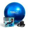 Vivo Technologies Ballon de gymnastique dexercice anti-éclatement de 66 cm pour grossesse, maternité, travail et yoga, pilat