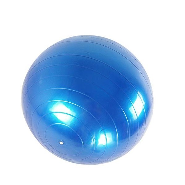 Ballon Suisse de Gym 65cm Ballon Exercice avec Pompe pour Fitness