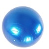 Fortitude Sports Ballon dexercice avec pompe | Ballon suisse de yoga pour fitness, pilates, maison et salle de sport | Ballo