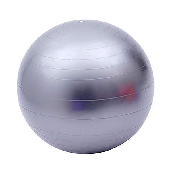 Fortitude Sports Ballon dexercice avec pompe | Ballon suisse de yoga pour fitness, pilates, maison et salle de sport | Ballo