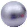 Fortitude Sports Ballon dexercice avec pompe | Ballon suisse de yoga pour fitness, pilates, maison et salle de sport | Ballo