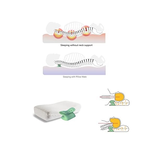 Littemum Oreiller Mate pour la courbure cervicale anormale