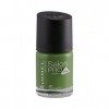 RIMMEL LONDON NAIL POLISH SALON PRO HOME JAMES 637 12ML