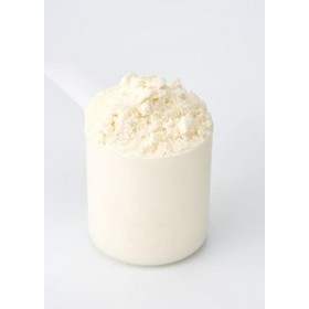 Amix Protéine pour Support Musculaire Vanille 1 kg