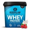 Bodylab24 Whey Protein Powder Triple Chocolat 2kg, pour des muscles plus forts, protéine de lactosérum peut favoriser la cons