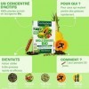 Santarome Bio - Brûle Graisses Bio | Complément Alimentaire Minceur - A base de Guarana, Thé vert, café vert, ananas et Papay