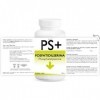 PS+ PHOSPHATIDYLSERIN Line@ 30 capsules excellent pour ceux qui ne réussissent pas à contrôler leur poids et qui souffrent 