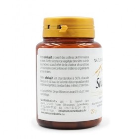 Shilajit - 600 mg de Shilajit standardisé à 50% dacide fulvique 300 mg/2 gélules 