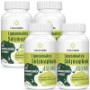 Liposomal Sulforaphane 450mg Softgel, extrait de graines de brocoli, absorption maximale, antioxydant puissant, soutient la s