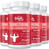 Turkesterone Complément Alimentaire- 1200 mg dextrait de Ajuga Turkestanica Standardisé à 20% de Turkesterone, Dosage élevé,