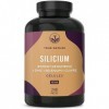 Silicium haute dose - 240 gélules à 500mg silicium organique par jour - extrait de bambou - vitamines pour cheveux incluses -