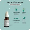 Spray Digestion | 15ml | 20 jours | Complément Alimentaire Menthe | Action Rapide | Phytothérapie Plantes Vitamines | Carvi N