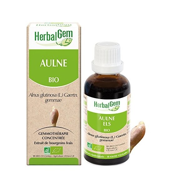 HERBALGEM - Macérât-Mère - Aulne Bio - Complément Alimentaire Gemmothérapie Concentrée - Extrait De Bourgeon Frais - Pour Déf