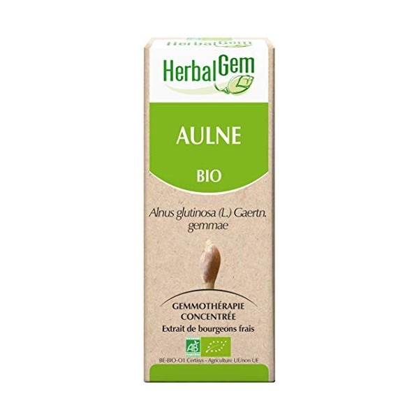 HERBALGEM - Macérât-Mère - Aulne Bio - Complément Alimentaire Gemmothérapie Concentrée - Extrait De Bourgeon Frais - Pour Déf