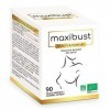 NUTRIEXPERT - Maxibust Beauty & Push-Up Gélule 