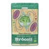 DRASANVI - BROCOLI 150 g BIO DRASANVI