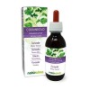 Coriandre Coriandrum sativum fruits Teinture Mère sans alcool Naturalma | Extrait liquide gouttes 120 ml | Complément alime