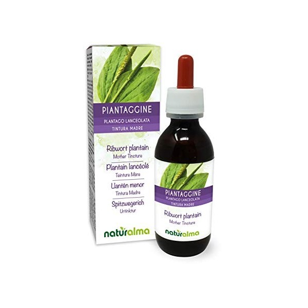 Plantain lancéolé Plantago lanceolata feuilles Teinture Mère sans alcool Naturalma | Extrait liquide gouttes 120 ml | Compl