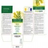 Solidage verge dor Solidago virgaurea herbe avec fleurs Naturalma | 150 g | 300 comprimés de 500 mg | Complément alimentai