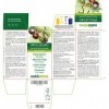 Marronnier dInde Aesculus hippocastanum graines Naturalma | 150 g | 300 comprimés de 500 mg | Complément alimentaire | Nat