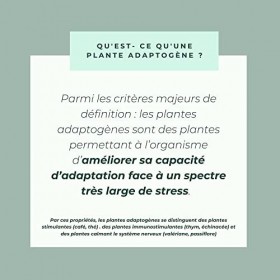Extrait Ashwagandha KSM-66® Bio 5% Withanolides & Rhodiola Bio - Complexe Synergique Vegan de Plantes Adaptogènes Ayurvédique