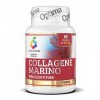 Colours of Life Hydrolysed Marine Collagen Pure - Supplément de collagène marin - Sans gluten, 60 gélules