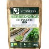 Poudre d’Herbe dOrge Bio 500G | 100% jeunes pousses | Sans Gluten, Sans OGM, Sans Additif | Qualité Supérieure