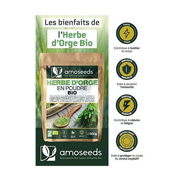 Poudre d’Herbe dOrge Bio 500G | 100% jeunes pousses | Sans Gluten, Sans OGM, Sans Additif | Qualité Supérieure