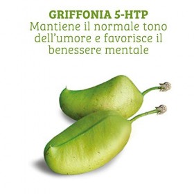 Colours of Life - Griffonia 5-HTP - Supplément de graines de griffonia - Maintient une humeur normale et favorise le bien-êtr