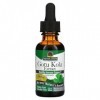 Natures Answer, Gotu Kola, 600mg, 30ml, Testé en Laboratoire, Sans Gluten, Sans Soja, Végétalien, Végétarien, Sans OGM