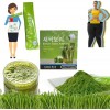 Flower and Plant Dietary Fiber Tender Seedling Powder &100% Pure & Organic,Organic Barley Grass Juice Powder,Barley Seedling 