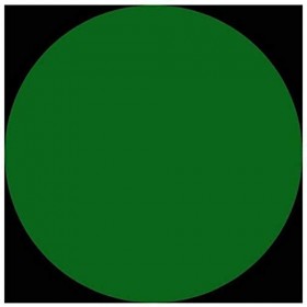 Metrol Poudre dherbe de blé 100 g