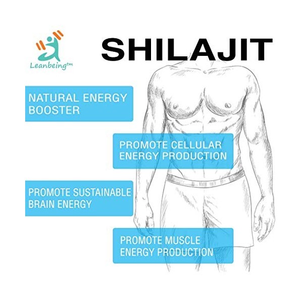 Metrol Leanbeing Résine ayurvédique pure Shilajit/Shilajeet 10 g