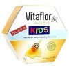 Vitaflor Jalea Real Kids 10 Ml 20 Amp