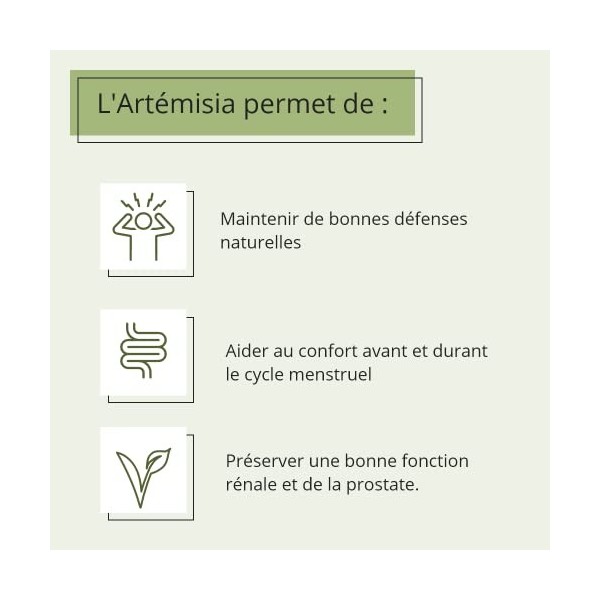 Artémisia Vulgaris - 150 gélules végétales - 100% pure artémisia- Fabriqué en France - Le Pré Vert