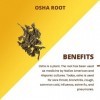 Saheli OSHA Root 100g | Favorise la digestion