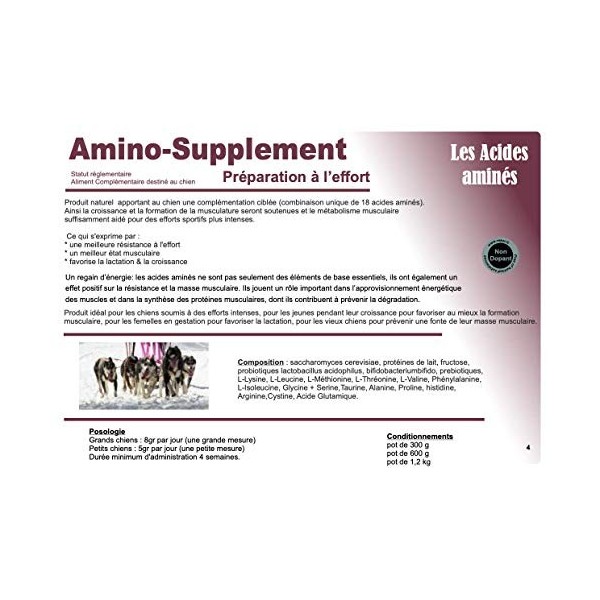 Amino-Supplément 300 g