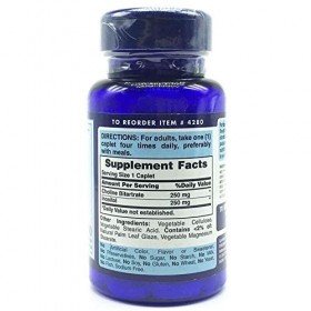 Choline Bitartrate Inosotol 250 mg /250 mg 100 Comprimes