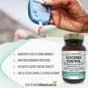 Glycemia control : 60 gélules capsules - Glycémie normale - Foie et digestion - Contre le stress oxydant - Enrichi en acide a