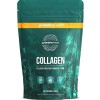 Primal Harvest Collagen poudre - 30 portions Premium Collagen Complex - alimentation durable à lherbe - hydrolysat de collag