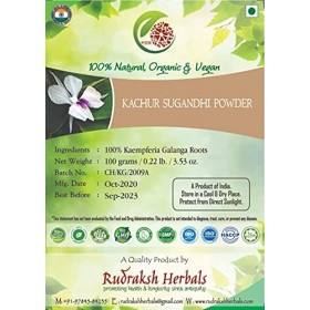 Panihari Rudraksh Herbals Poudre de Kachur Sugandhi – 100 % racines de Kaempferia Galanga 100 g 
