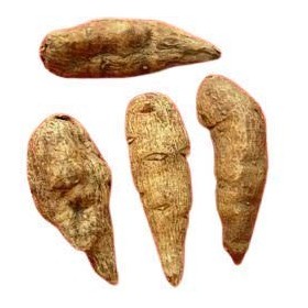 Panihari ATISH KADWI - ATIVISHA Bitter - ATIWISHA - ATEESH - Aconitum HETEROPHYLLUM 15 g 