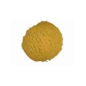 panihari Poudre Shankhpushpi 200 g 100 % pure et naturelle