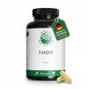 NADH 50mg - 60 DR-Caps enrobés entériques de production allemande - 100% végétalien et sans additifs