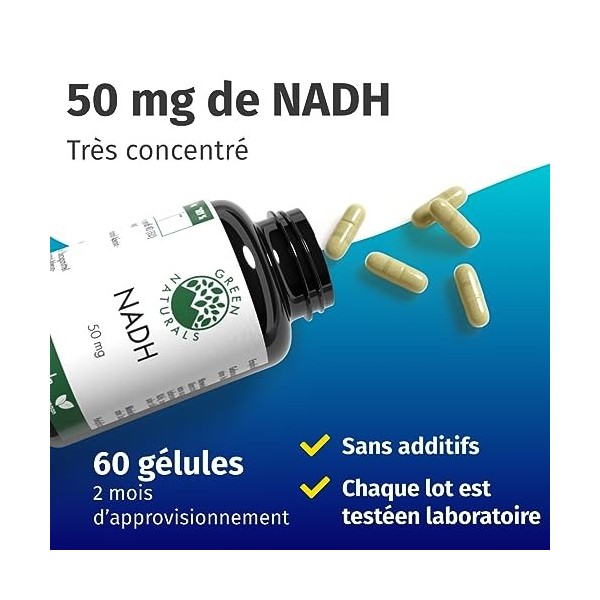 NADH 50mg - 60 DR-Caps enrobés entériques de production allemande - 100% végétalien et sans additifs