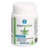ERGYDETOX Complément alimentaire à base de plantes, composés soufrés, vit B et oligoéléments.- Lot de 2 x 60 Gélules 2 