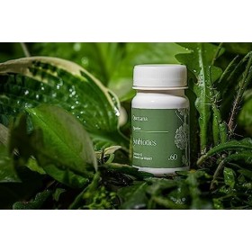 Probiotique Flore Intestinale | 5 Souches Bio-actives | Vegan | 60 Gélules | Quersana France | Flacon Ecologique en Canne à S