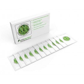 Yoghurt ferments - Pack de 3 sachets de culture lyophilisés pour yaourts Rhamnosus et Gasseri Pack de 12 sachets 