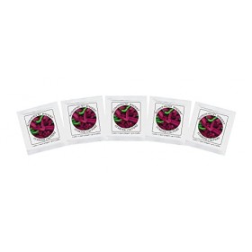 Ferments de Yaourt - Pack de 5 Sachets de Culture lyophilisée pour yaourts à Acidophilus