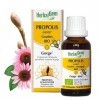 Herbalgem Propolis Junior Gouttes Bio Dès les Premiers Signes du Refroidissement 15 ml